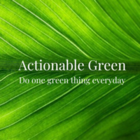 Actionable Green - Do one green thing everyday