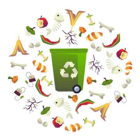 How to Easily Reduce Your Food Waste