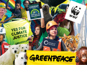 Climate Action Petitions to Sign